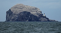 4326 Scozia2016 BassRock