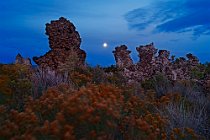 34 Natural reserve of Mono Lake - Northern California