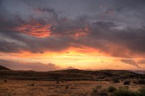 73 Grassland in Central California