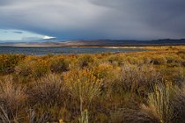 78 Riserva Naturale del Lago Mono - California settentrionale