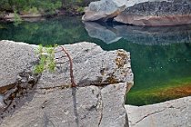 80 Fiume Merced , Parco Nazionale di Yosemite  - California, U.S.A.