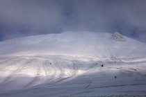 222 Piana di Castelluccio di Norcia - Parco Nazionale dei Monti Sibillini