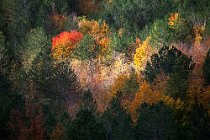 157 Camosciara Valley - National Park of Abruzzo and Molise