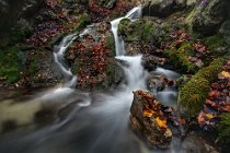 111 Aniene Creek Valley - National Park of Simbruini Mountains