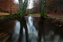 117 Aniene Creek Valley - National Park of Simbruini Mountains