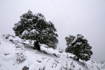 31 Semprevisa Peak - Regional Park of Lepini Mountains