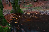 116 Fiume Aniene - Parco Nazionale dei Monti Simbruini