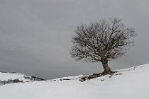 32 Monte Semprevisa - Parco Regionale dei Monti Lepini