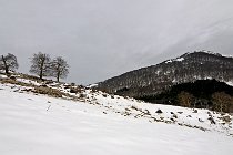 36 Monte Semprevisa - Parco Regionale dei Monti Lepini
