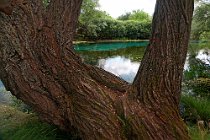 39 Fiume Tirino - Abruzzo