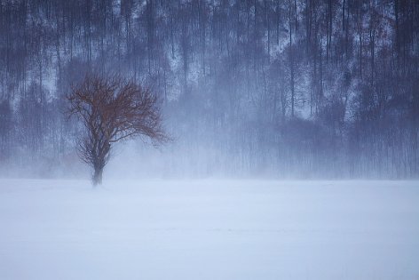 Appennino Italiano 1