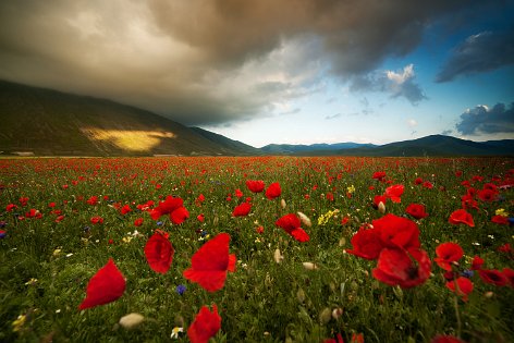 Appennino Italiano 4