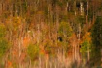 44 Plitvika Lakes National Park, Croatia