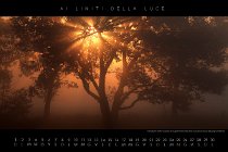 04_Aprile Il sole del primo mattino fa capolino tra le sughere immerse nella nebbia in una pianura boscosa della Spagna meridionale