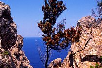 4 (◙) Isola di Zannone