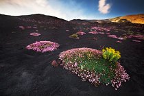 01 Etna Mountain - Sicily