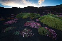 03 Etna Mountain - Sicily