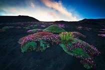 04 Etna Mountain - Sicily