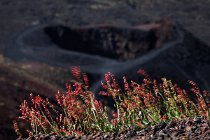 05 Etna Mountain - Sicily