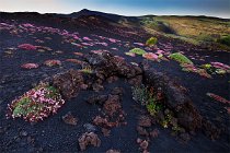 06 Etna Mountain - Sicily