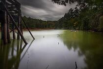 5184_ForestaUmbra 10
