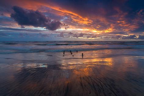 Italian Sea and Coasts 2