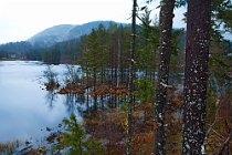 53 Lake in the National Telemark Park - South Norway