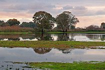 43 Fogliano lake - National Park of Circeo, Italy