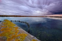 44 Natural Reserve of Tarquinia, Italy