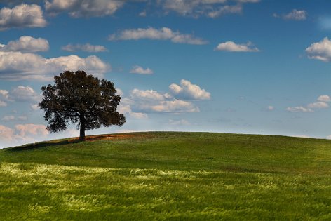 Lanscapes of Lazio 2