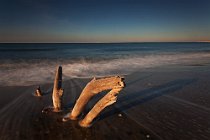 31 Spiaggia di Torre Astura, Roma