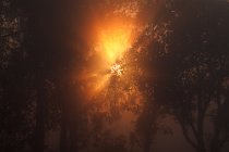 36 Nebbia sulla pianura pontina
