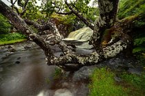 07 Ears Fors waterfalls, Mull Island