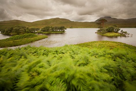 2016 - Scotland's interior