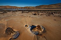 08 Spiaggia nei pressi di Durness - Scozia Settentrionale