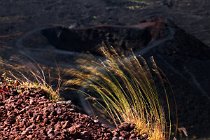 04 Mount Etna, Silvestri Craters