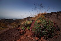 08 Mount Etna, Silvestri Craters