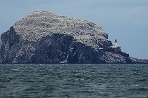 29 Island of Bass Rock, Scotland